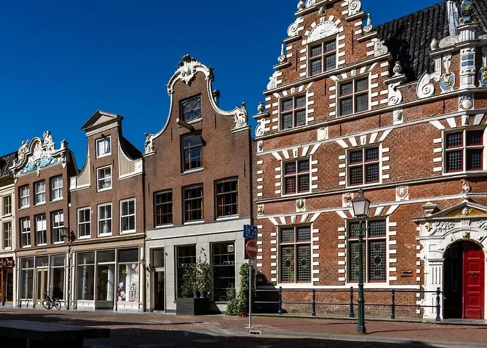 De Ginkgo In Het Hart Van Hoorn